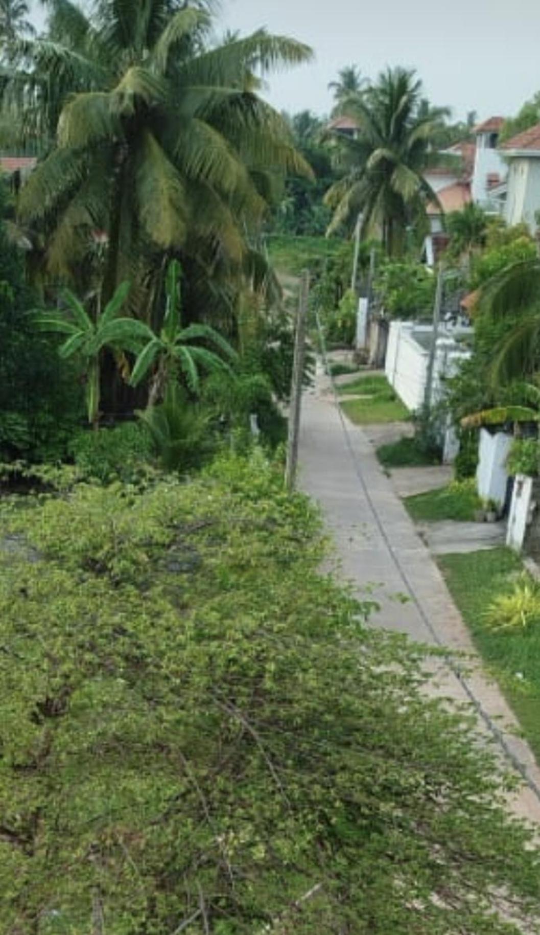 Jasmine Apartments Negombo Extérieur photo